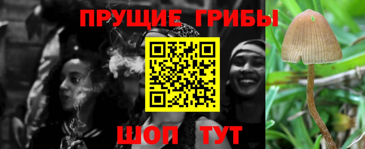 Спасск-Дальний  где найти   Вход с VPN  Псилоцибиновые грибы Magic Shrooms 